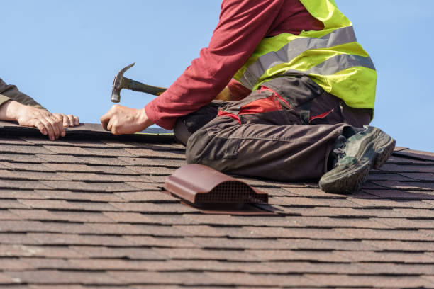 Best Roof Gutter Cleaning  in Shoh, IL